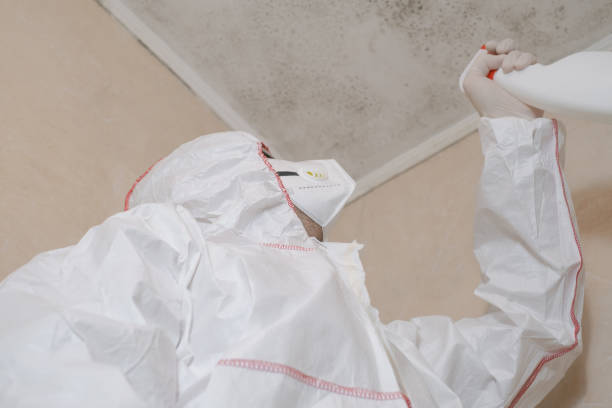 Best HVAC Mold Remediation in Katonah, NY
